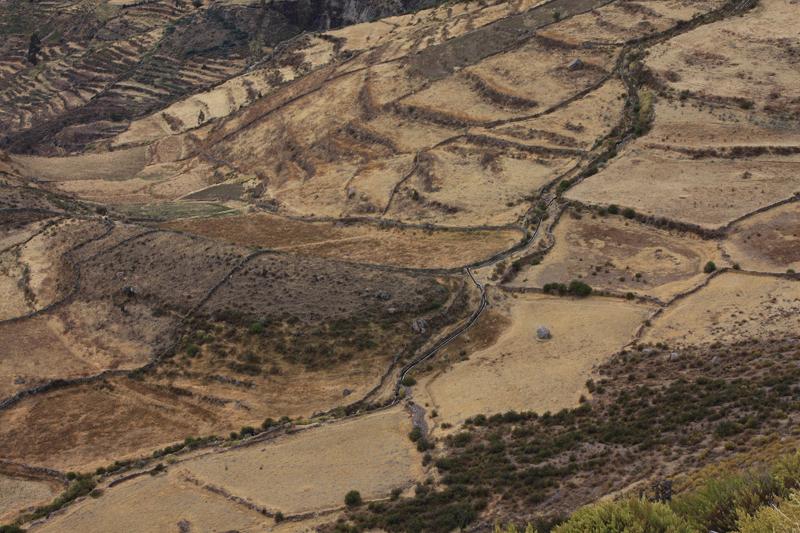 936-Canyon del Colca,15 luglio 2013.JPG